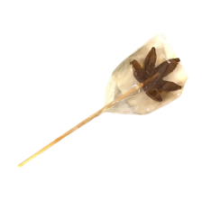 Konopné lízátko s medem